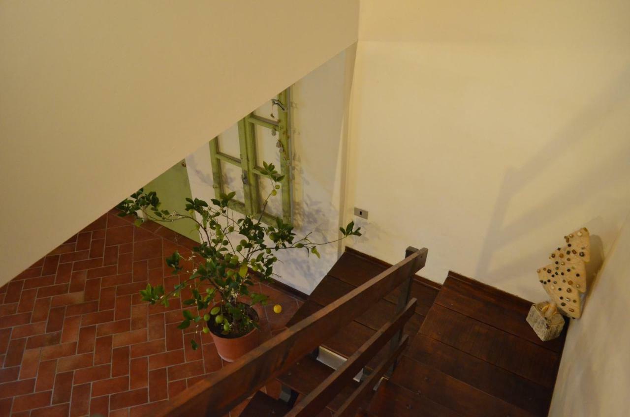 Agriturismo Cipolli E Podo Corte Carlini Μάντοβα Εξωτερικό φωτογραφία